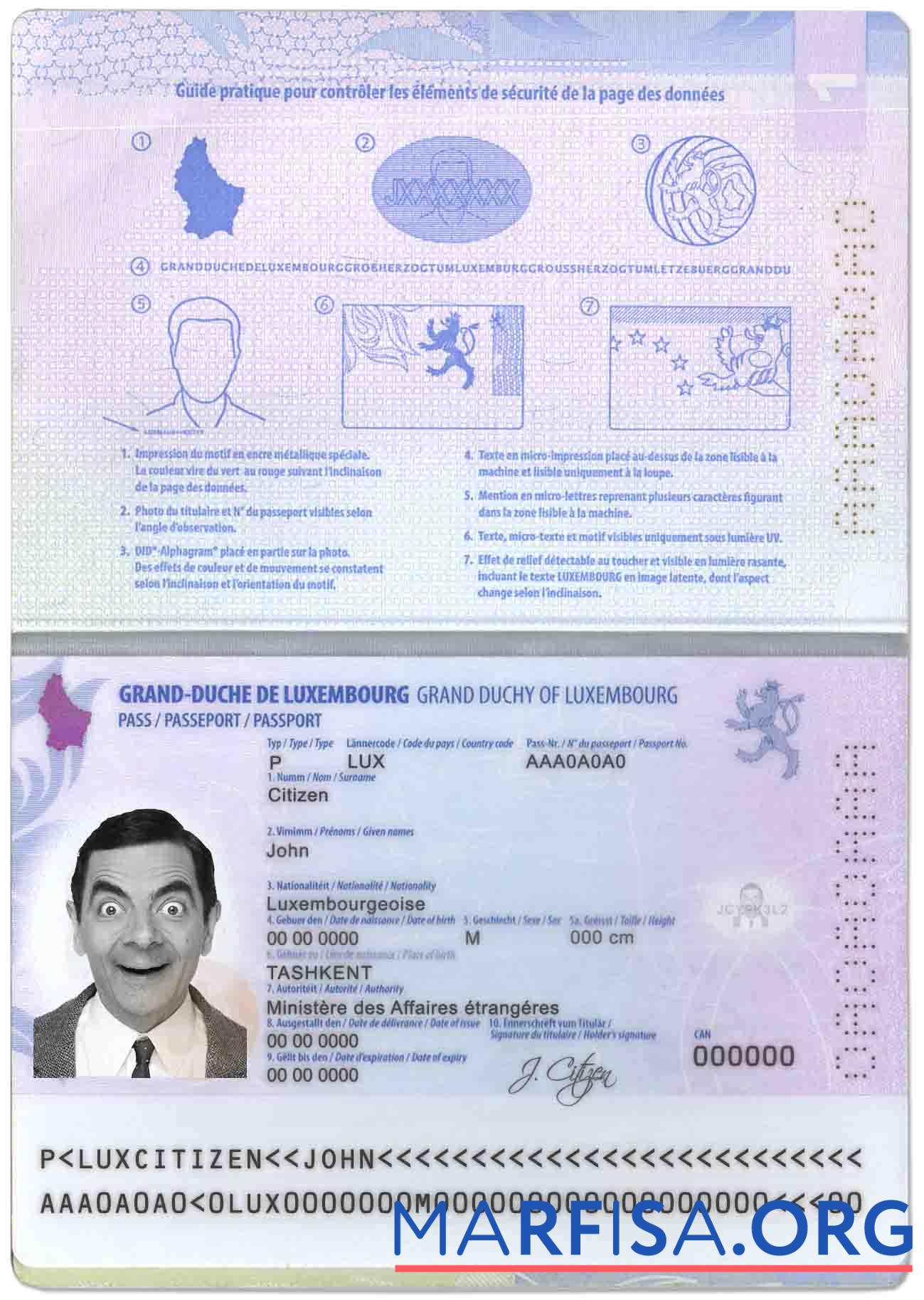 Printable Luxembourg passport download for verification
